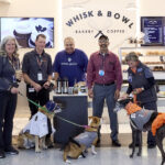 Therapy Dog Thursdays: Whisk & Bowl Bakery at DFW Celebrates Therapy Dogs and Their Ambassadors